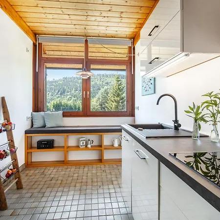 Haus Galerie St Blasien Apartman St. Blasien