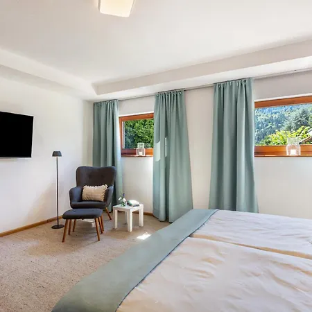 Apartman Haus Galerie St Blasien